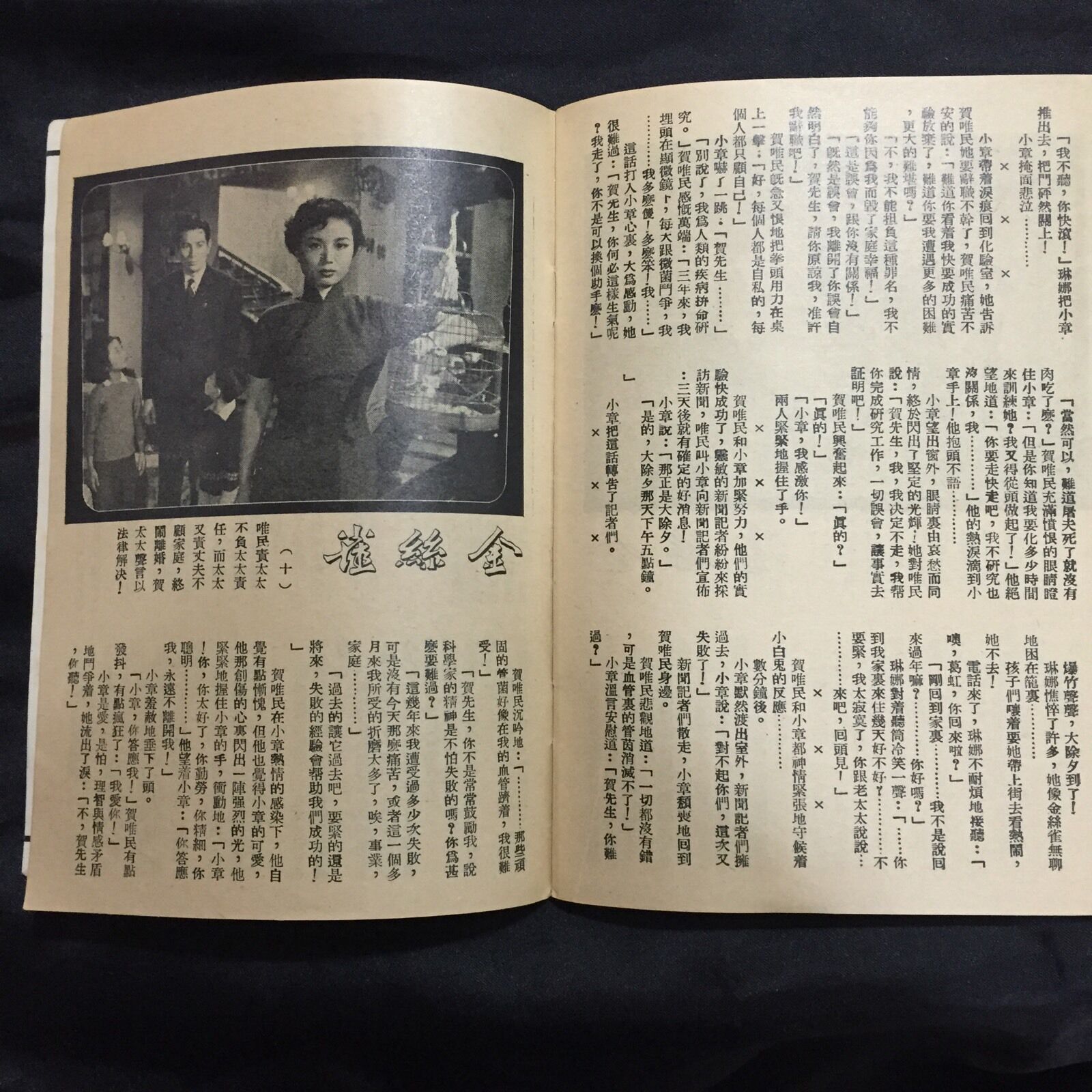 金丝雀剧照的剧照