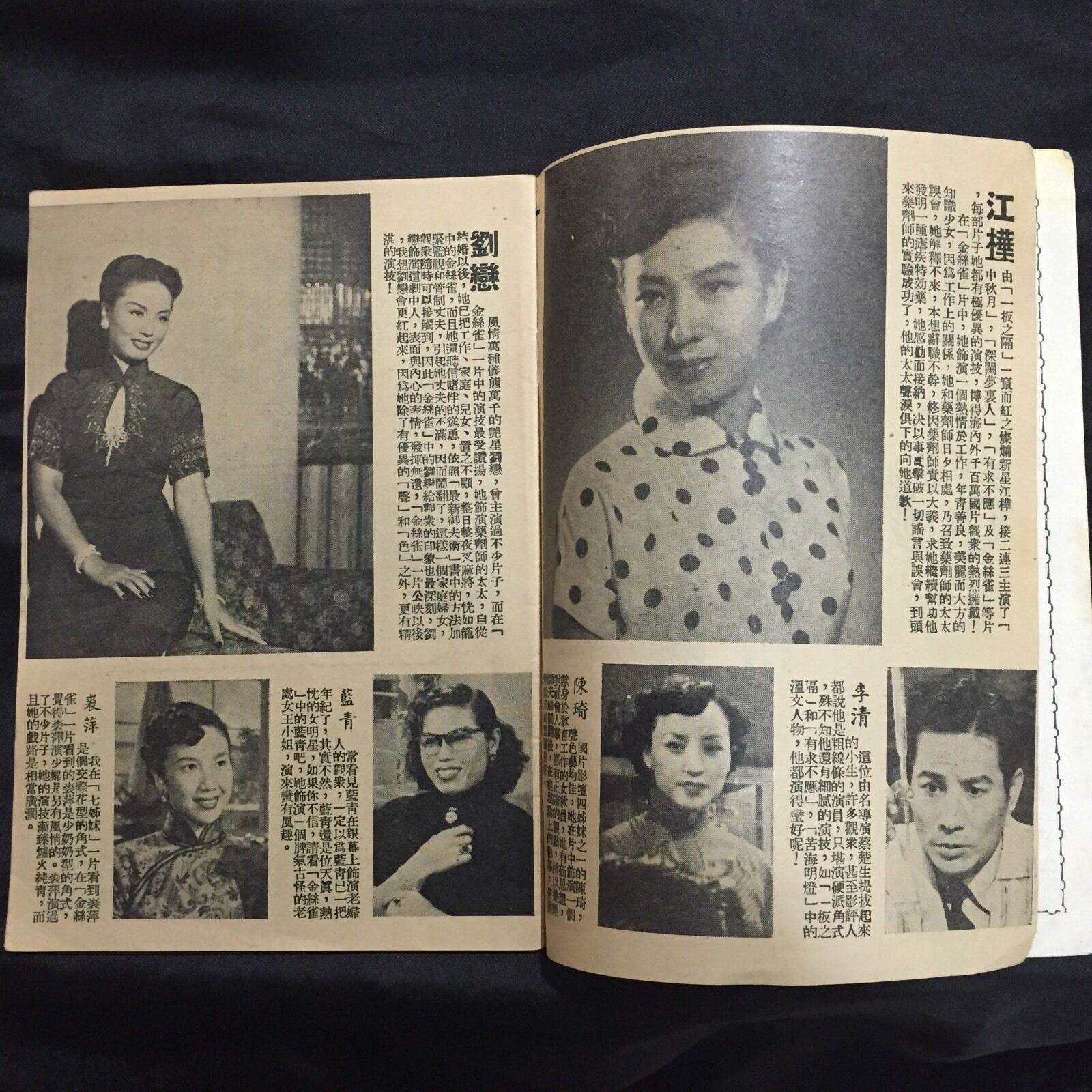 金丝雀剧照的剧照