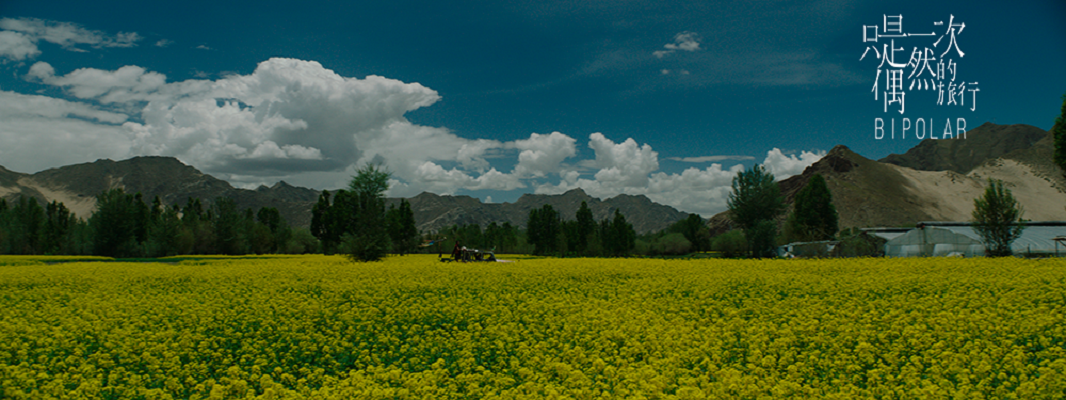 只是一次偶然的旅行剧照的剧照