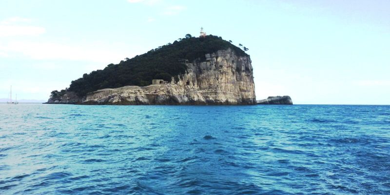 夏日友晴天剧照的剧照