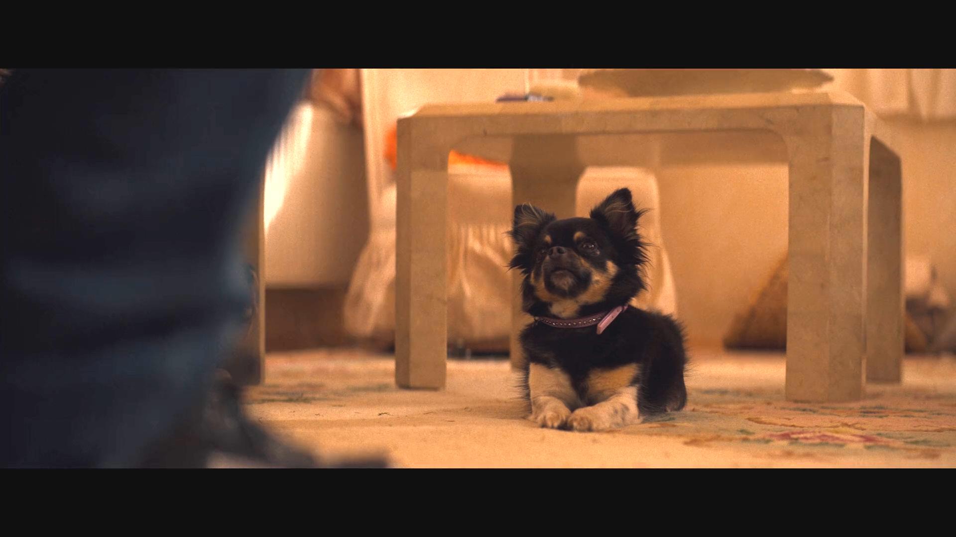 卧底：费瑞崛起剧照的剧照