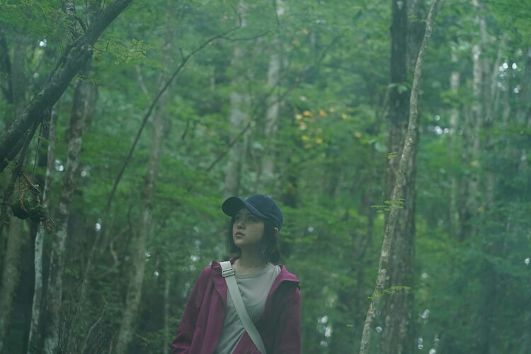 树海村剧照的剧照