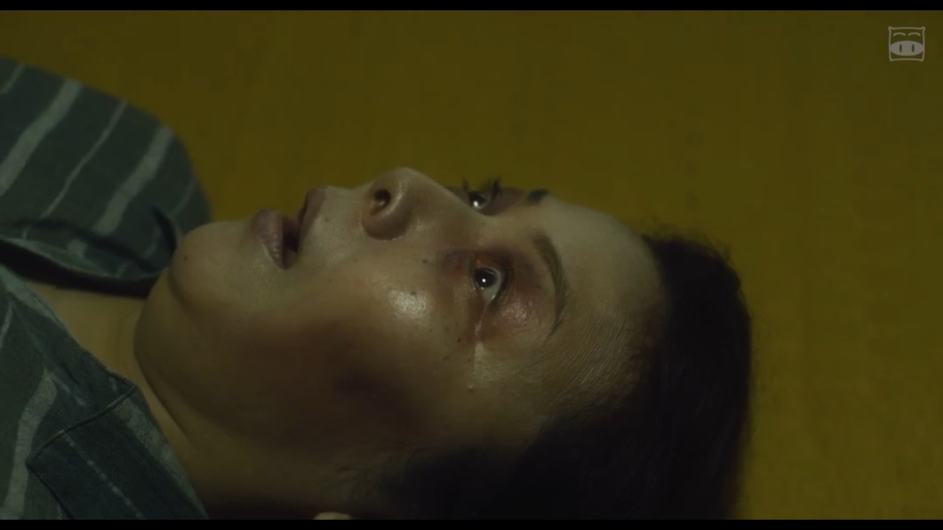 树海村剧照的剧照