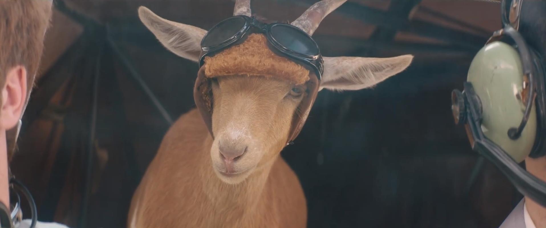 半血缘兄弟剧照的剧照