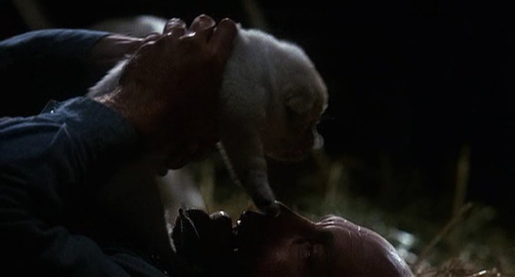 人鼠之间剧照的剧照