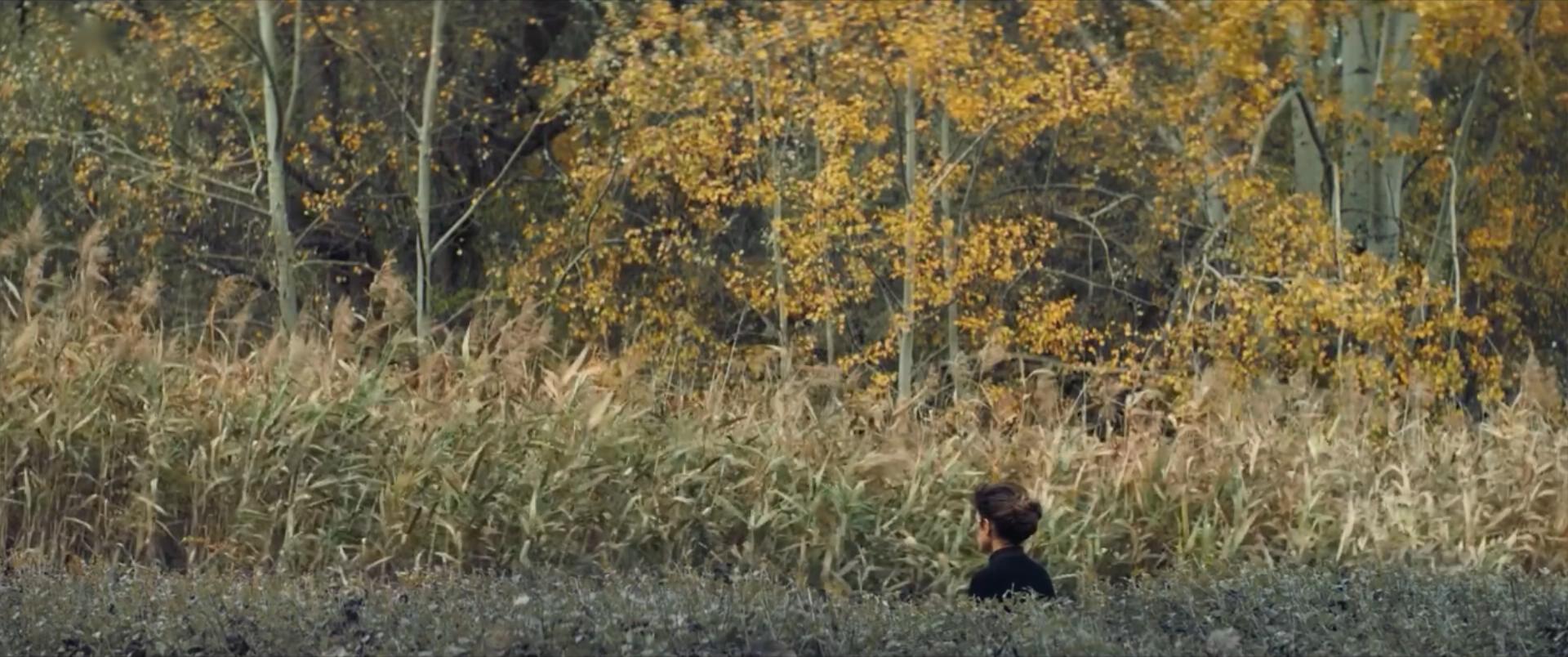 奇迹泽尼亚剧照的剧照