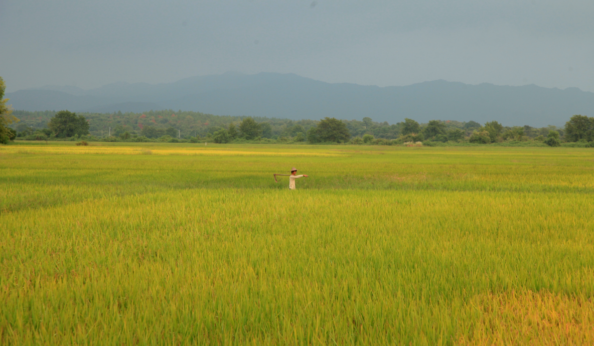 水草长生剧照的剧照