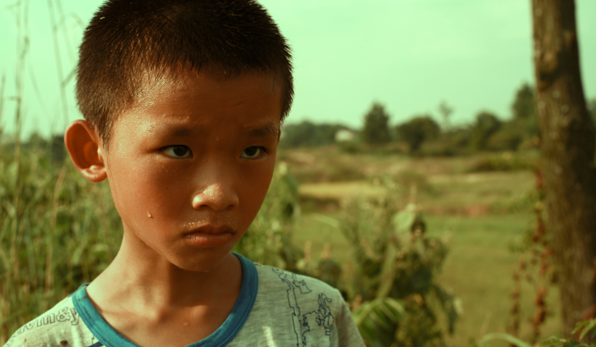 水草长生剧照的剧照