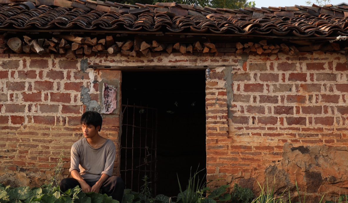 水草长生剧照的剧照