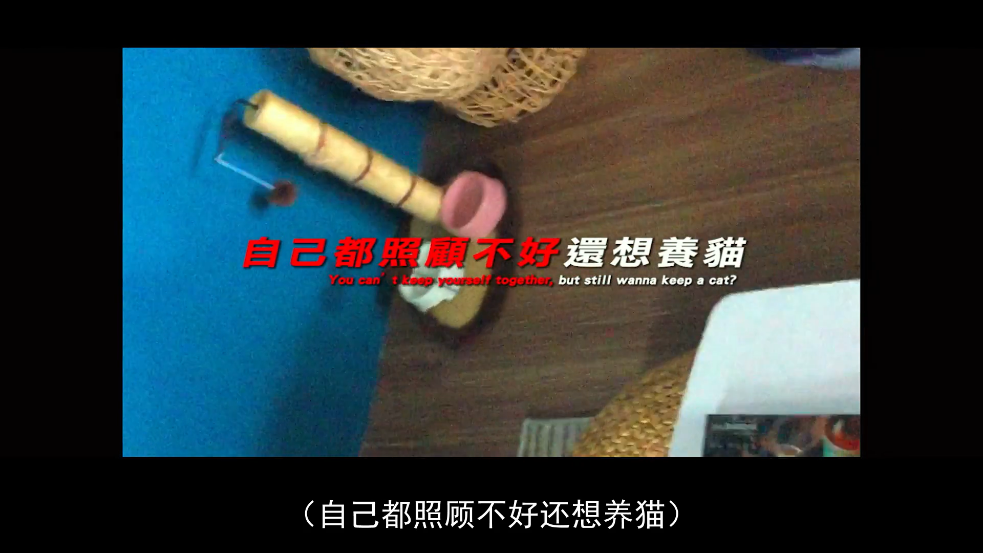 我没有谈的那场恋爱剧照的剧照