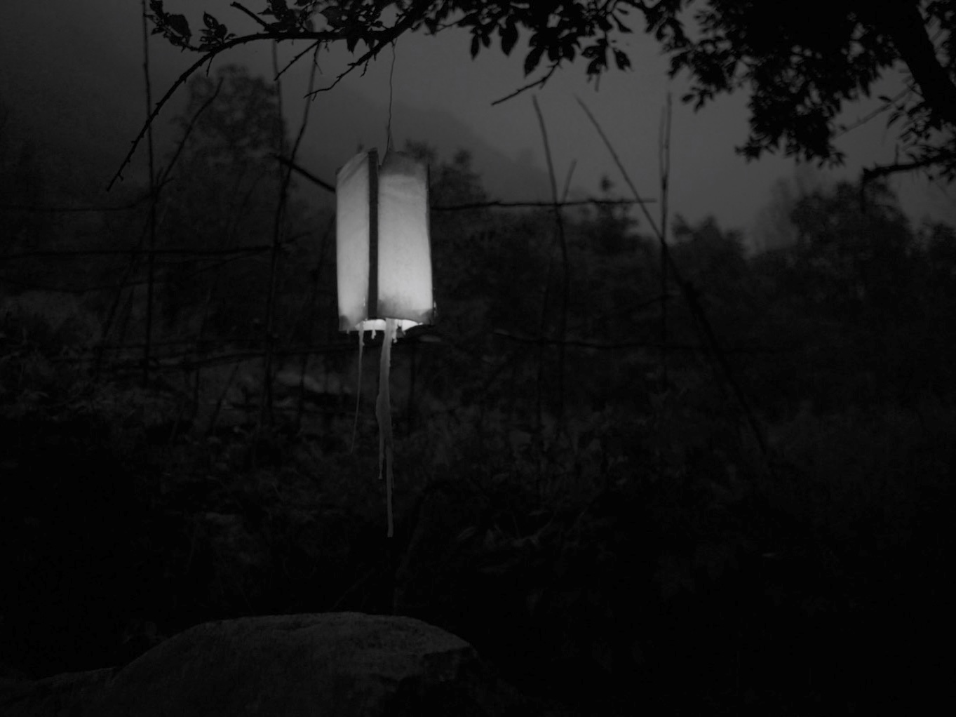 一个人的葬礼剧照的剧照