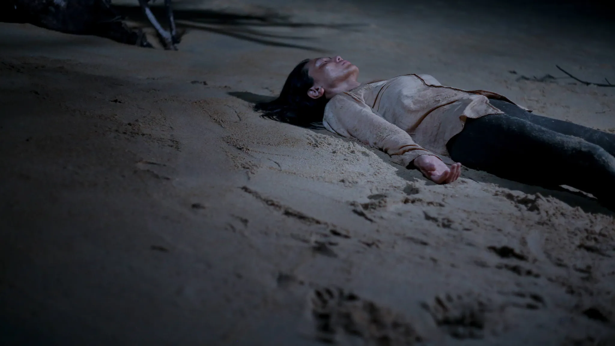 野蛮人入侵剧照的剧照