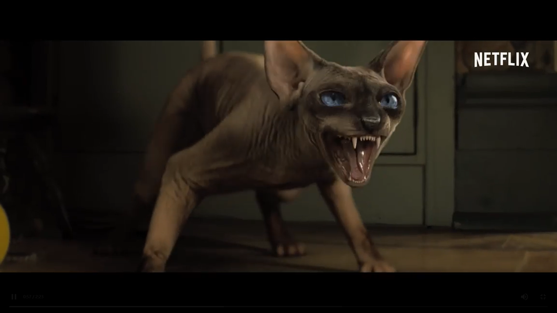 夜读惊魂剧照的剧照