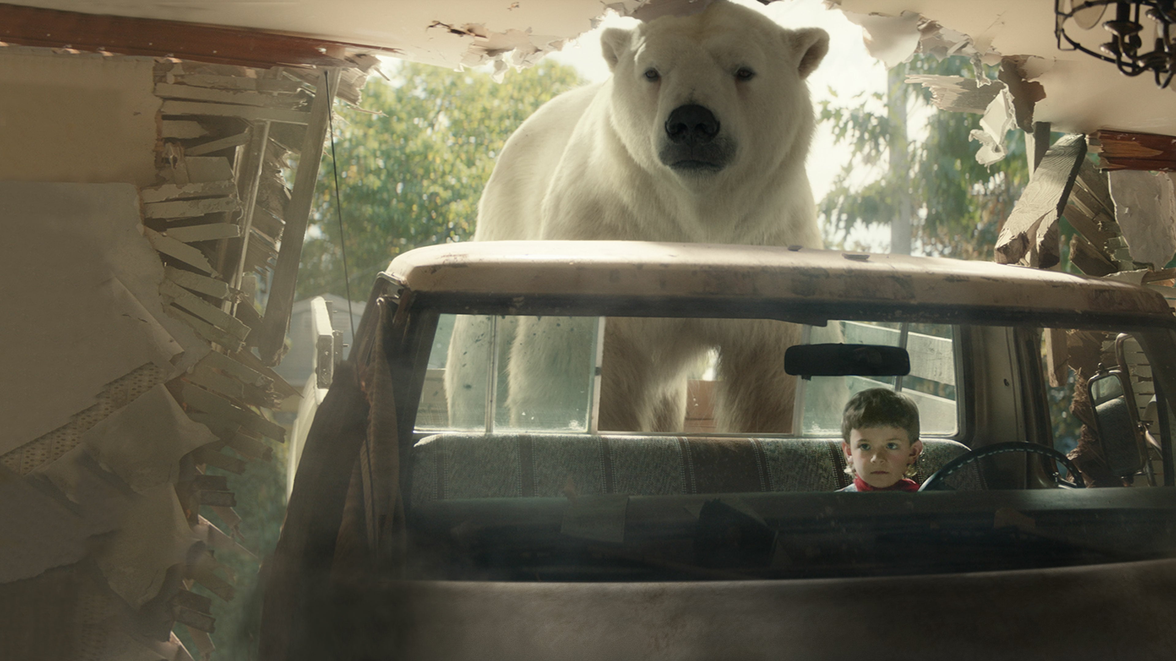 蒂米·菲列：错已铸成剧照的剧照