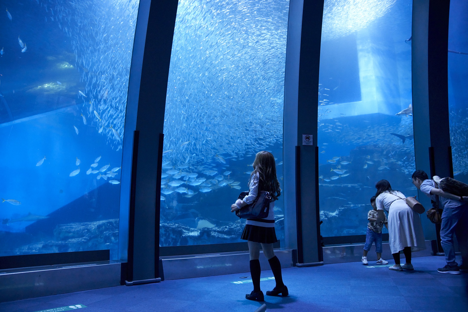 谎言×谎言剧照的剧照