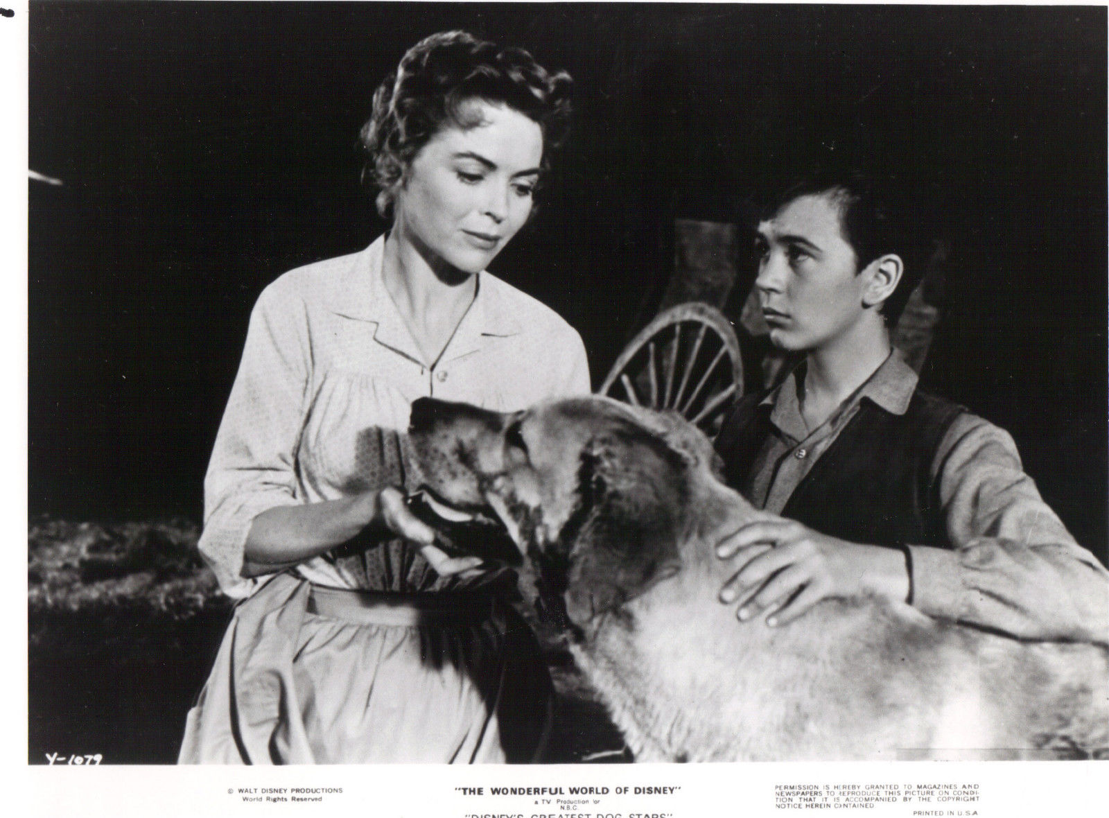 老黄狗剧照的剧照