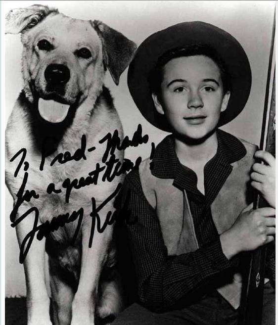 老黄狗剧照的剧照