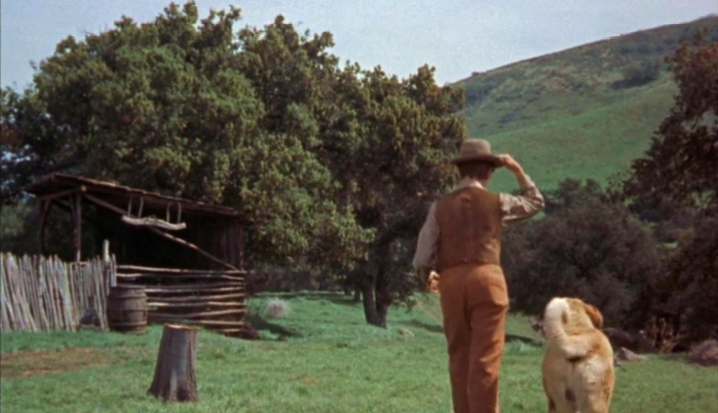 老黄狗剧照的剧照