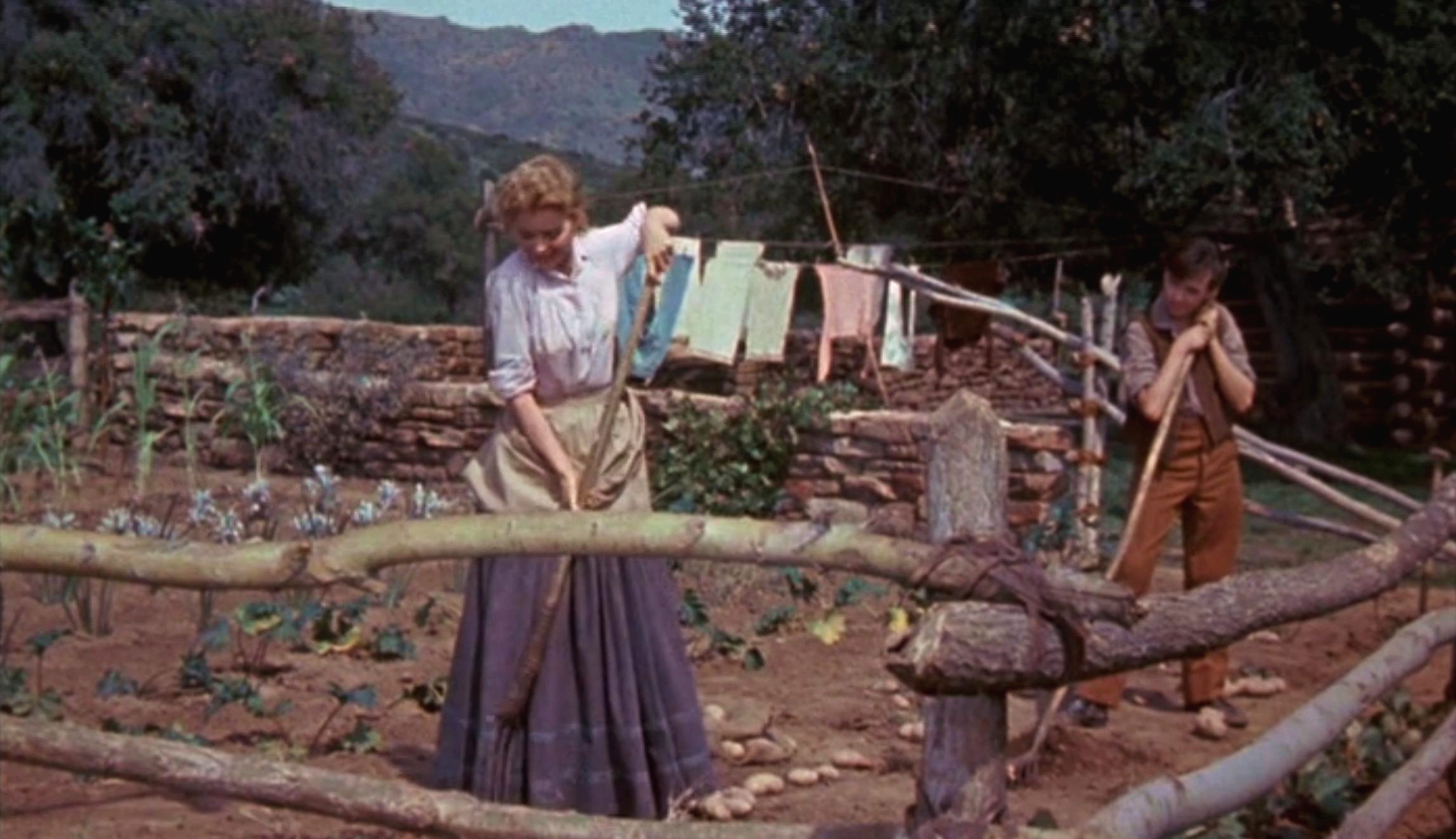 老黄狗剧照的剧照