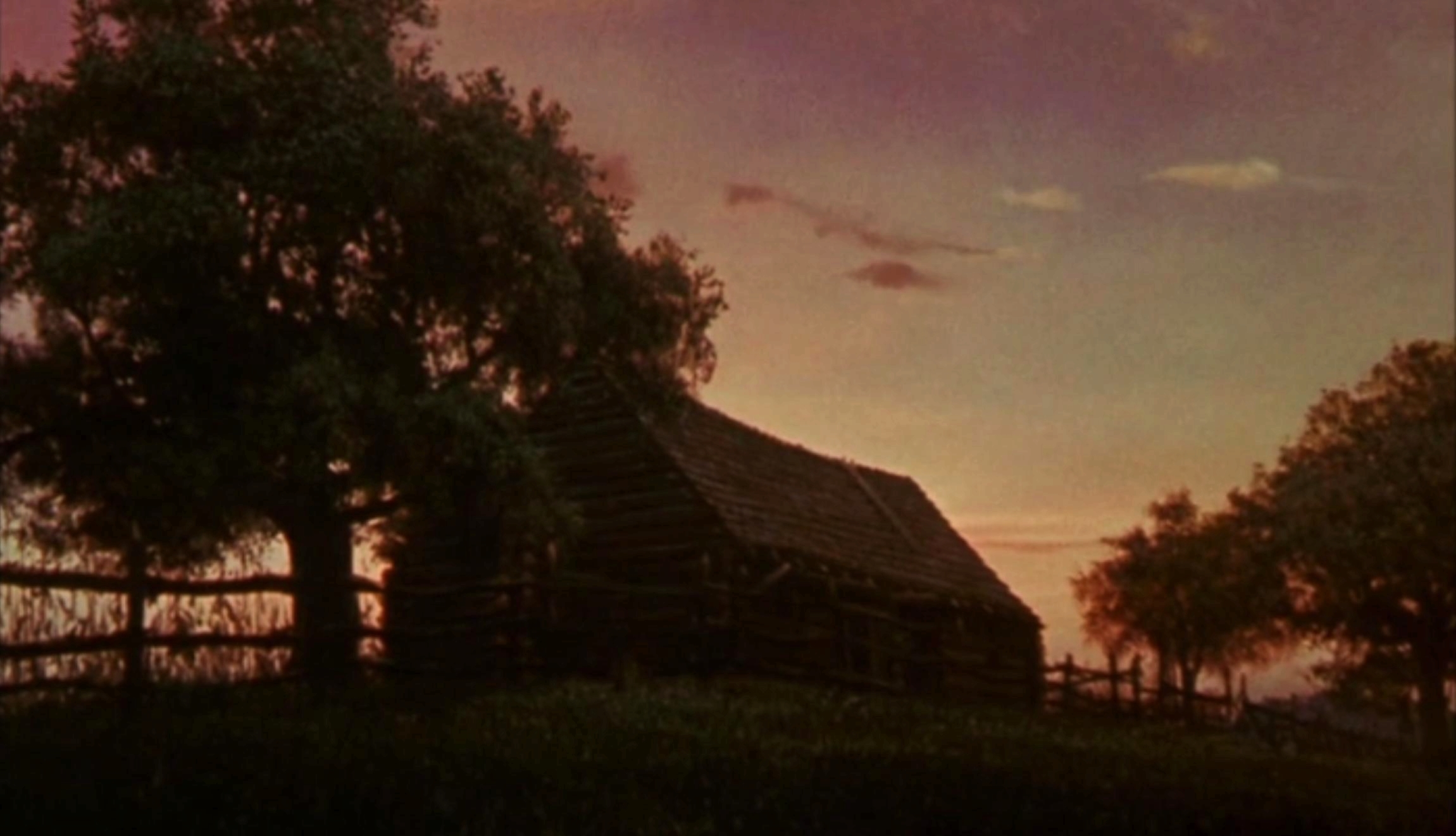 老黄狗剧照的剧照