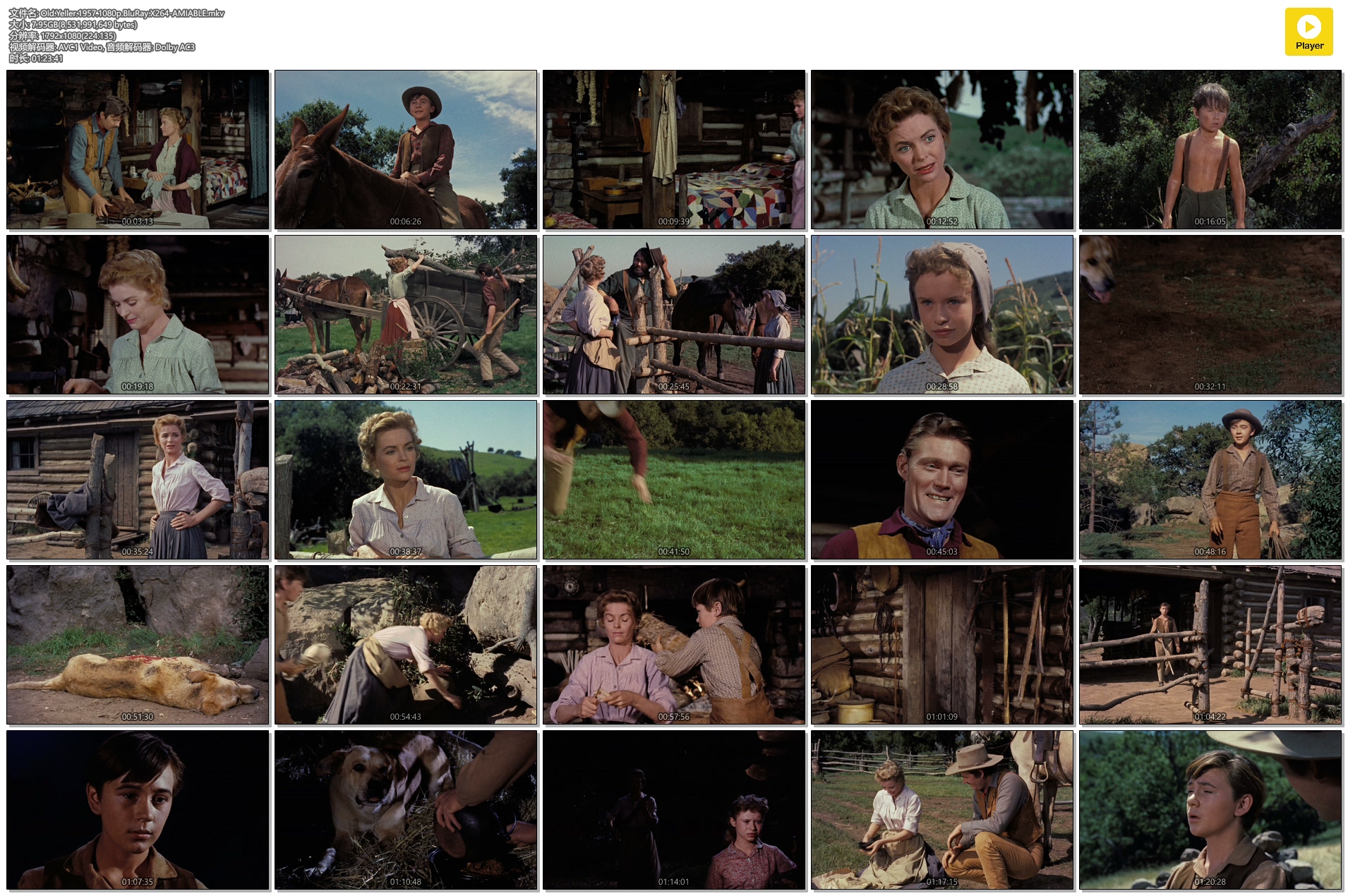 老黄狗剧照的剧照