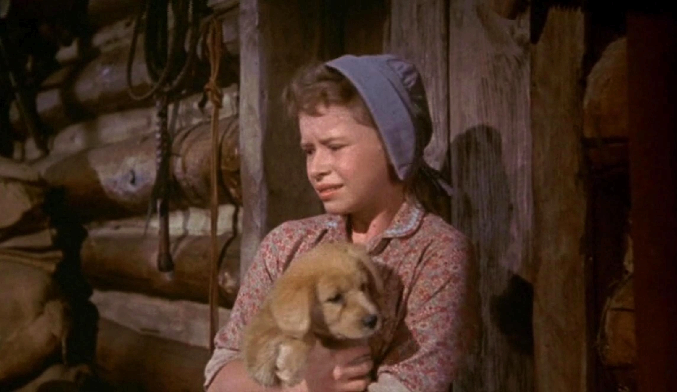 老黄狗剧照的剧照