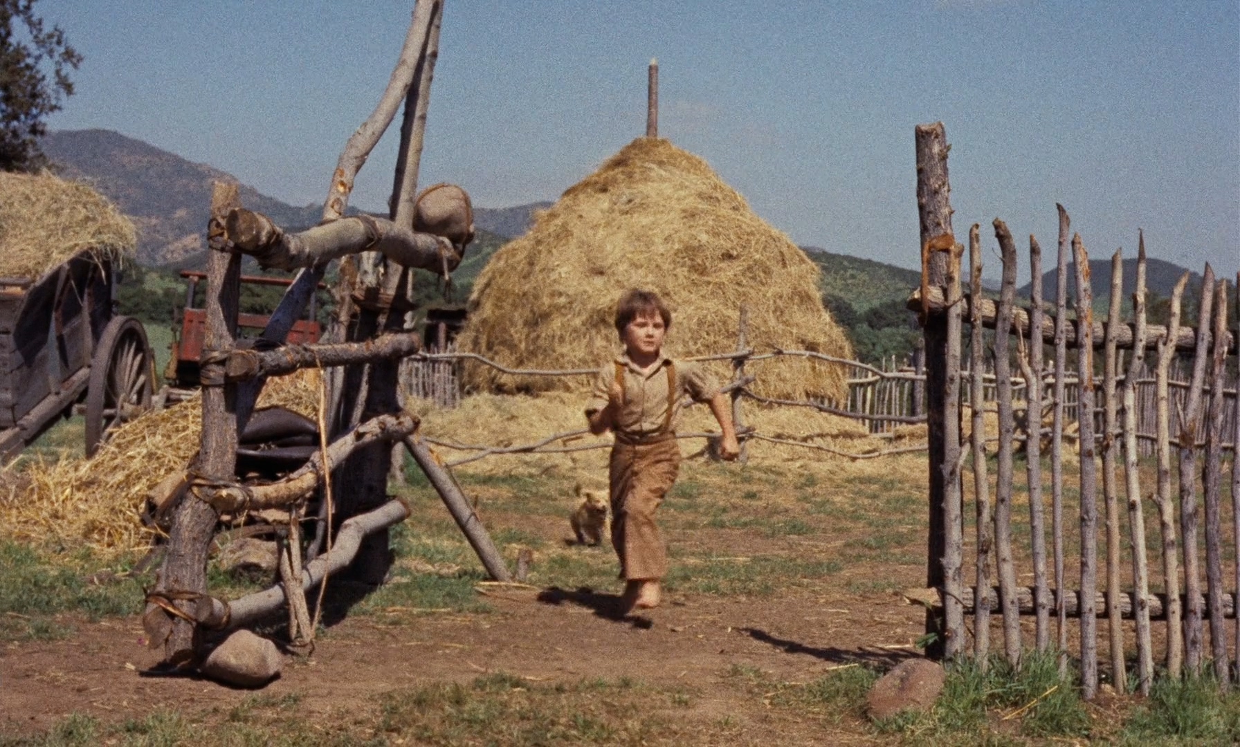 老黄狗剧照的剧照