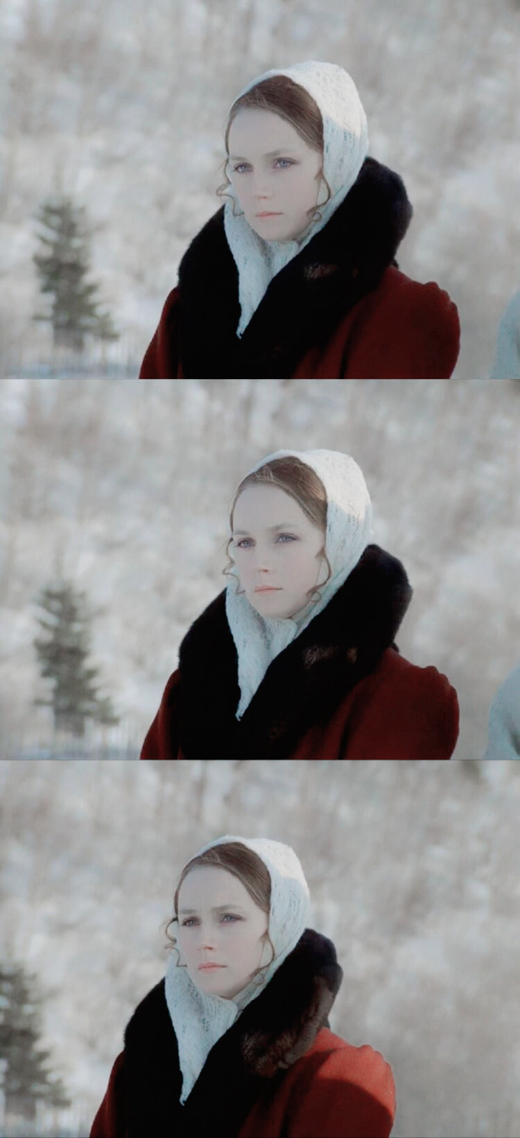 迷人之星剧照的剧照