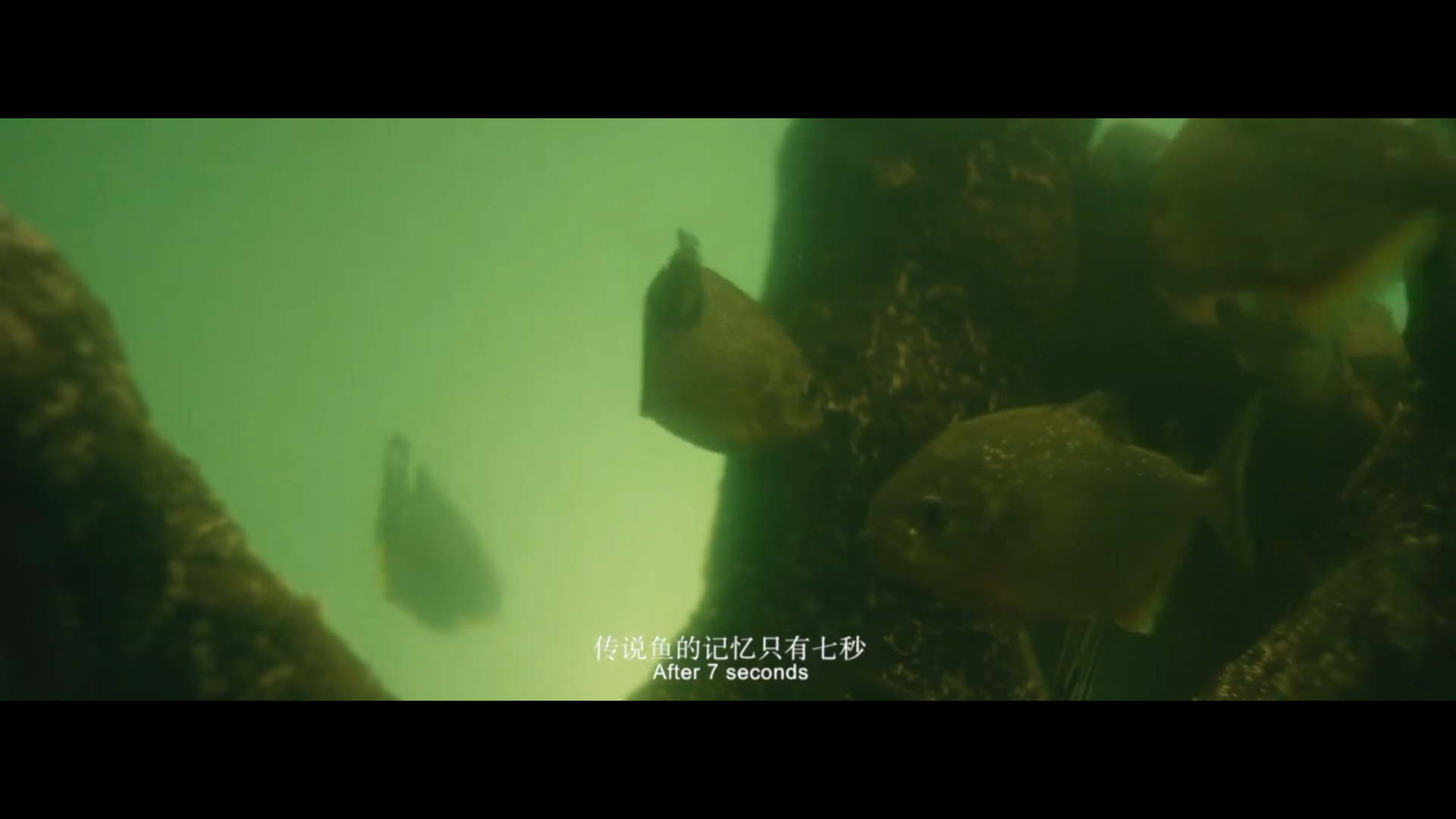 最后一间房剧照的剧照