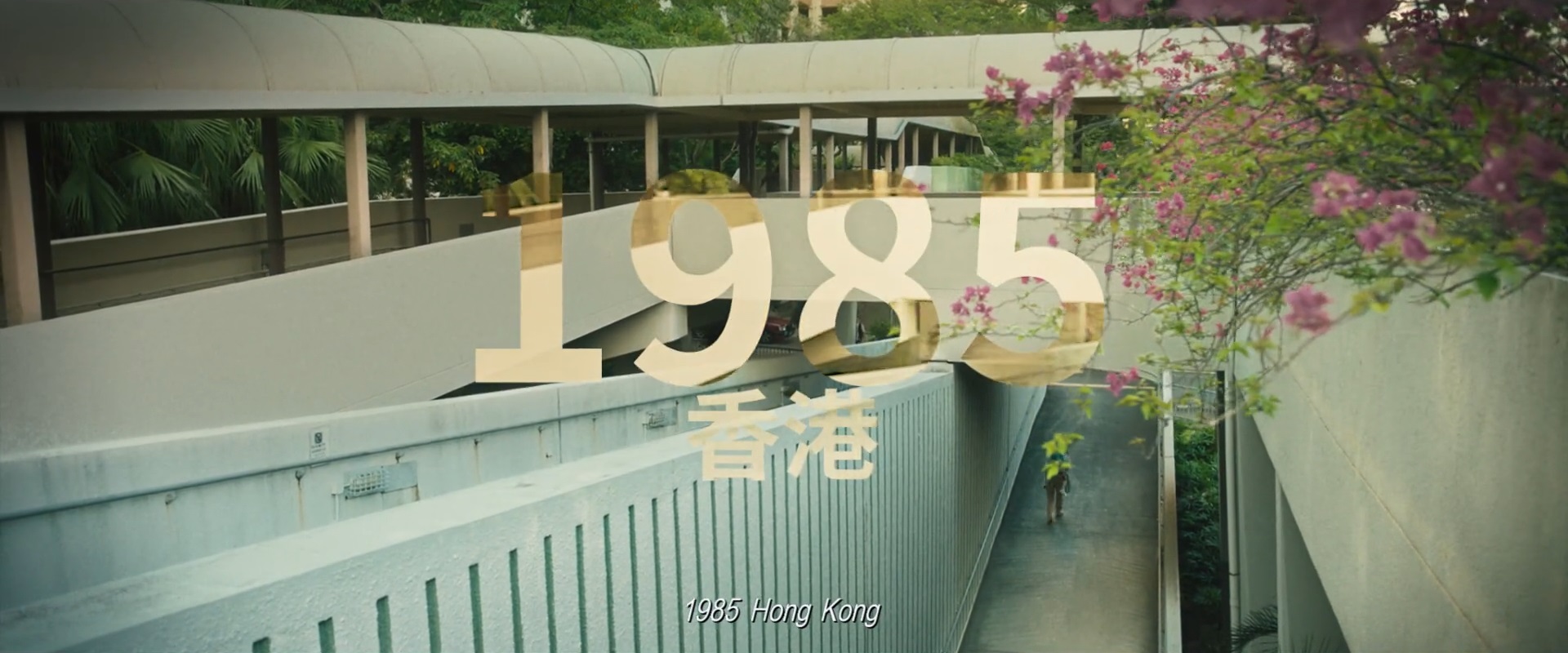 妈妈的神奇小子剧照的剧照