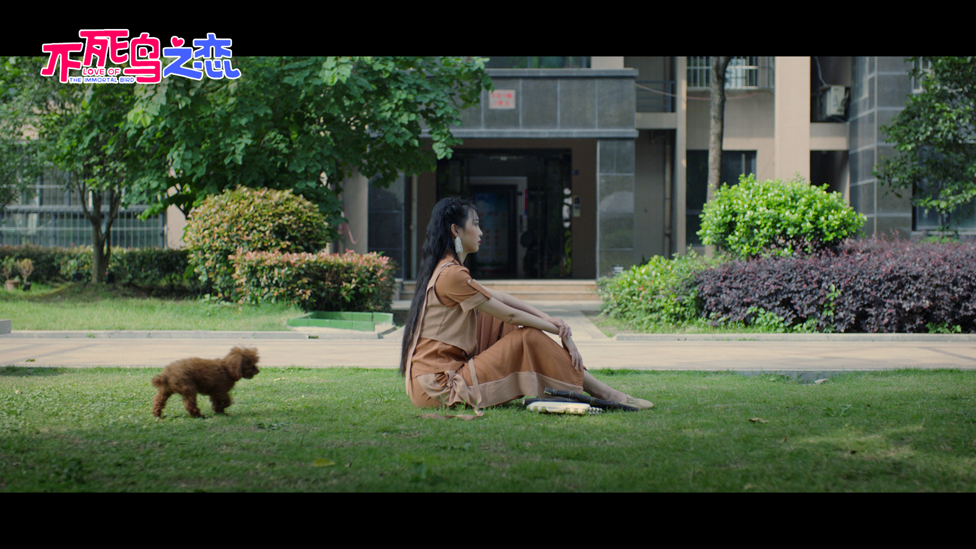 不死鸟之恋剧照的剧照