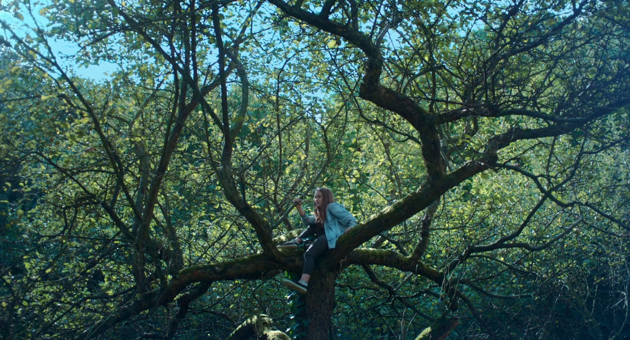 小小港湾剧照的剧照