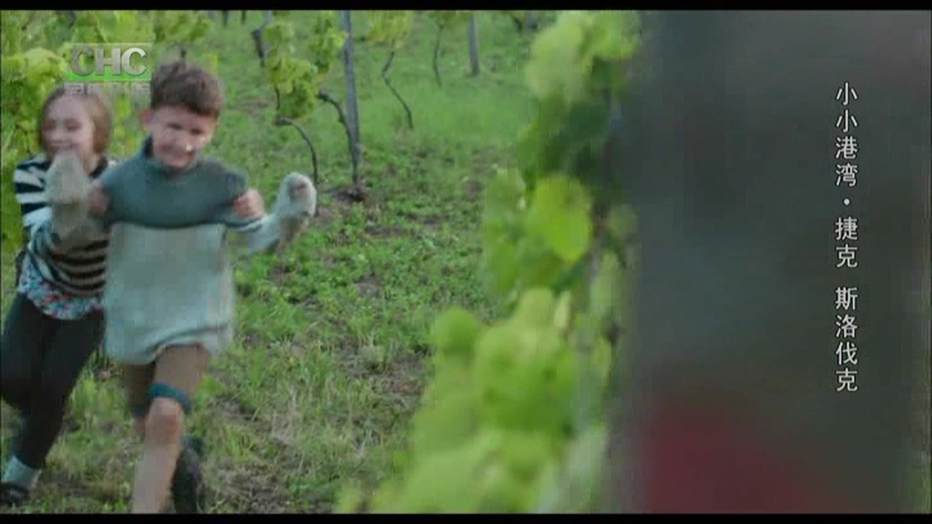 小小港湾剧照的剧照