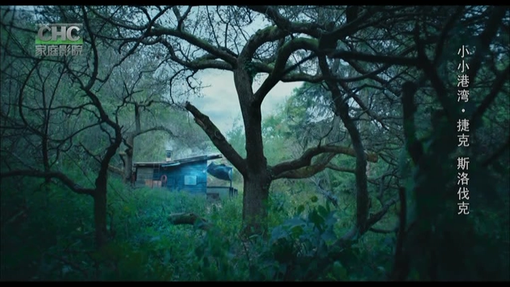 小小港湾剧照的剧照