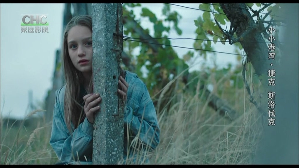 小小港湾剧照的剧照