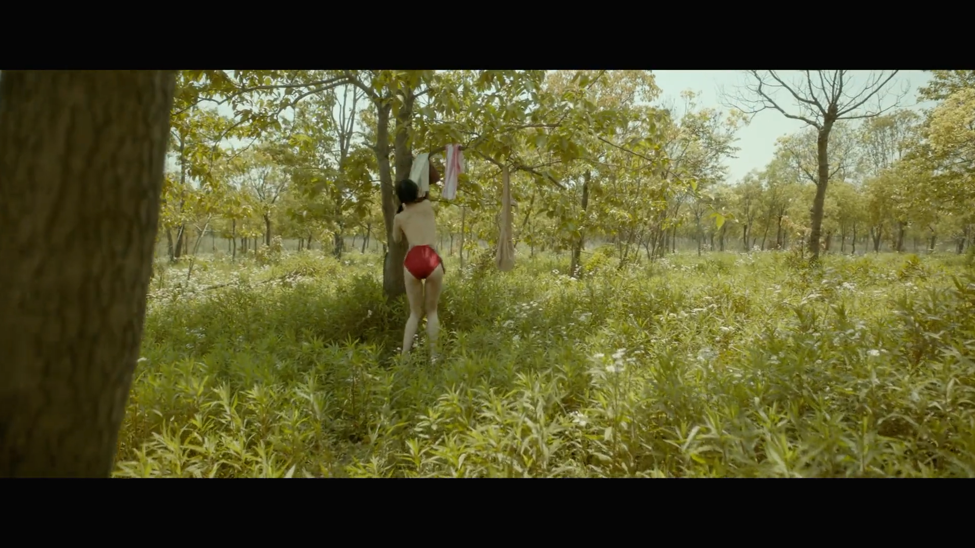 梦境人生剧照的剧照