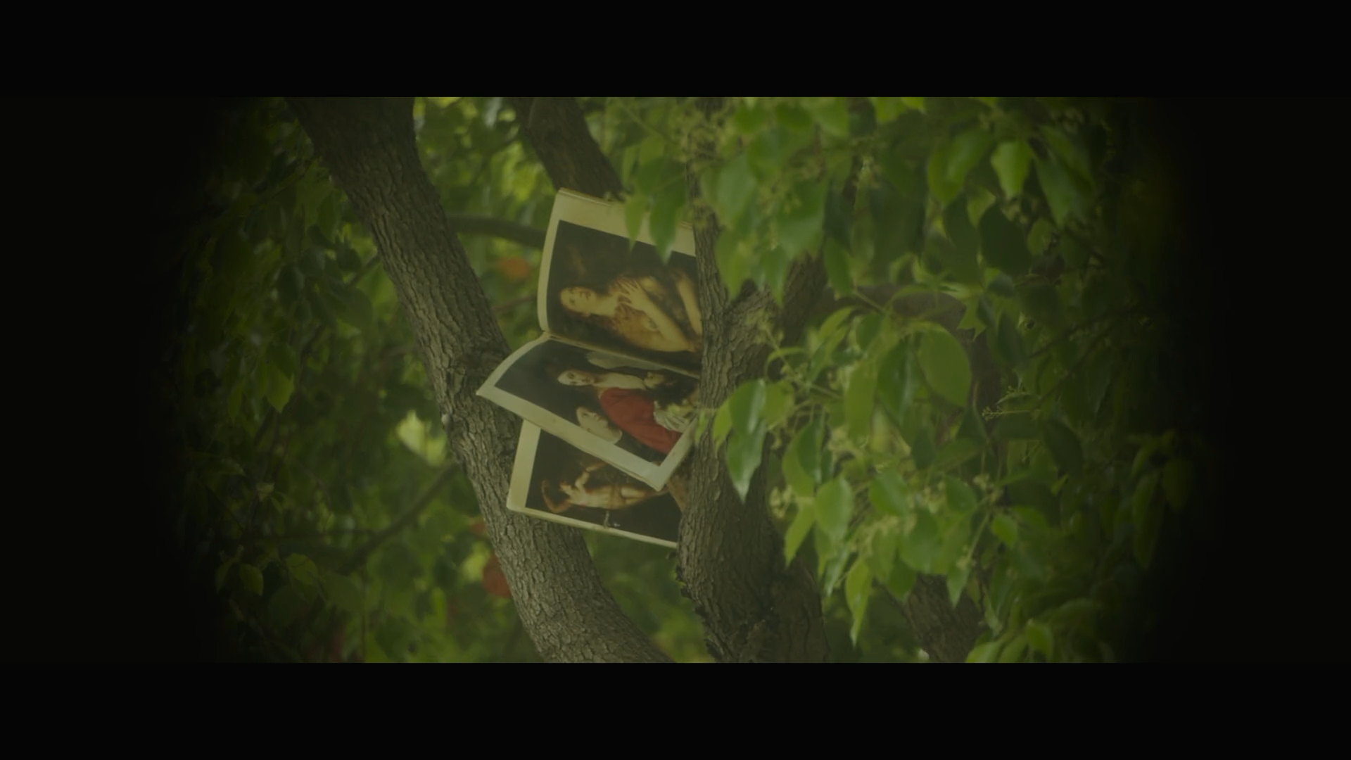 梦境人生剧照的剧照