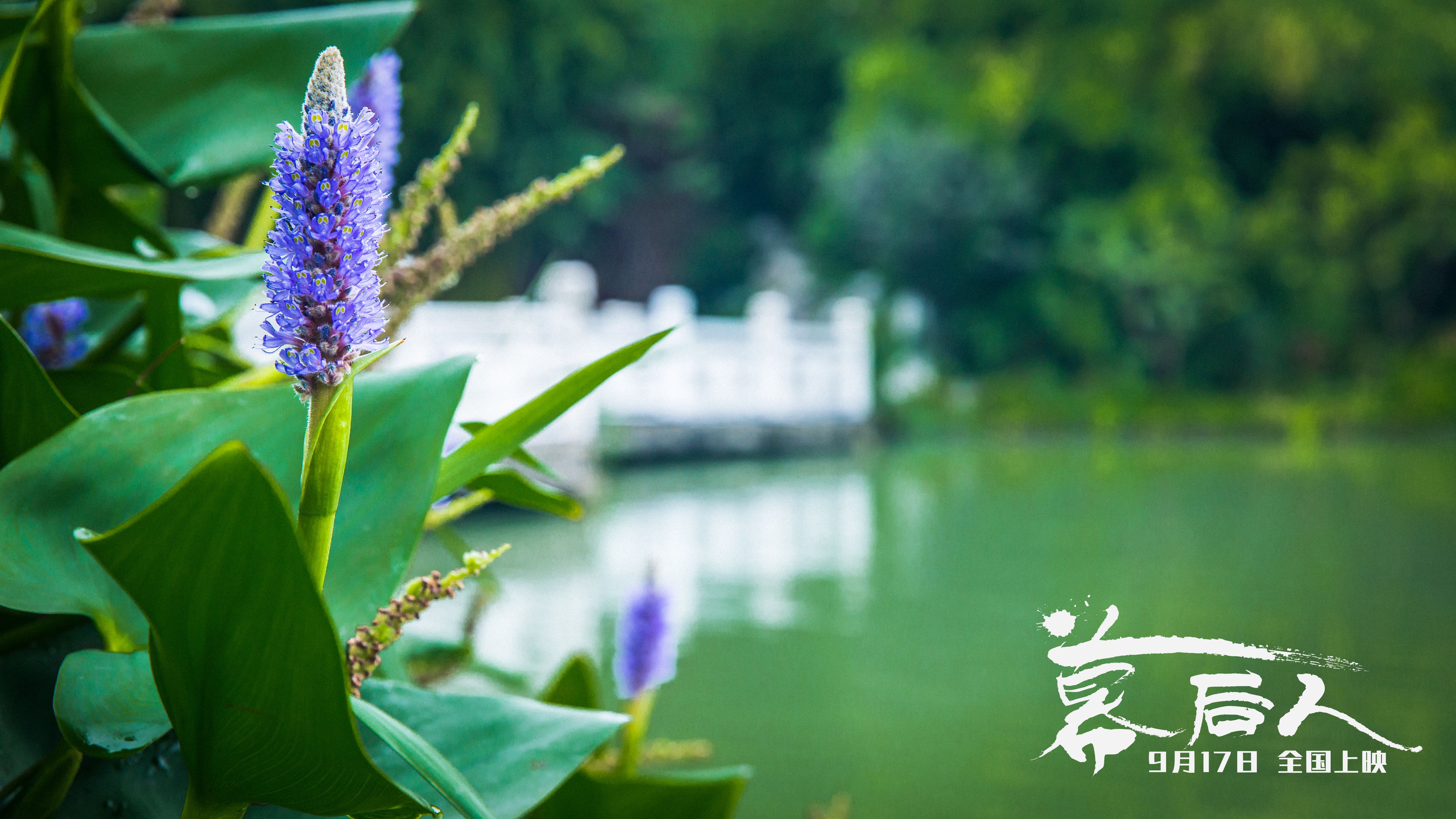 幕后人剧照的剧照