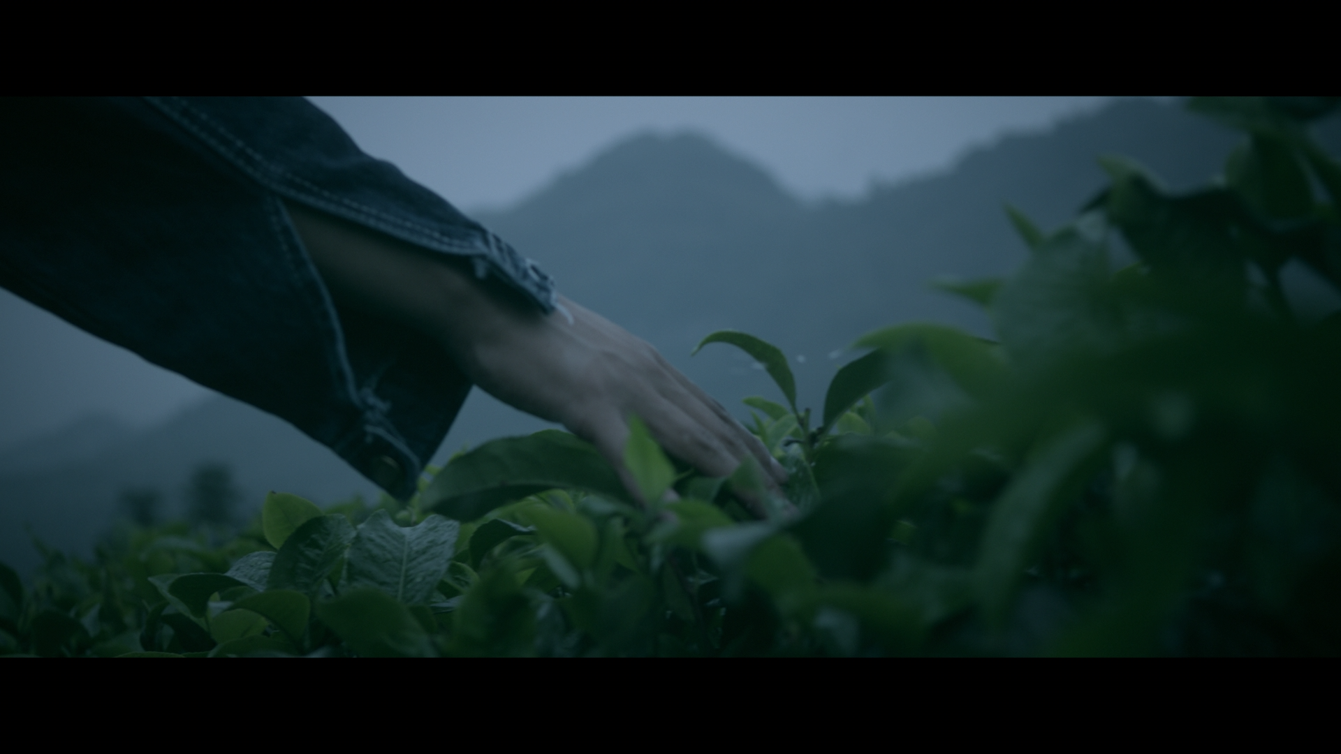 非常·主播剧照的剧照