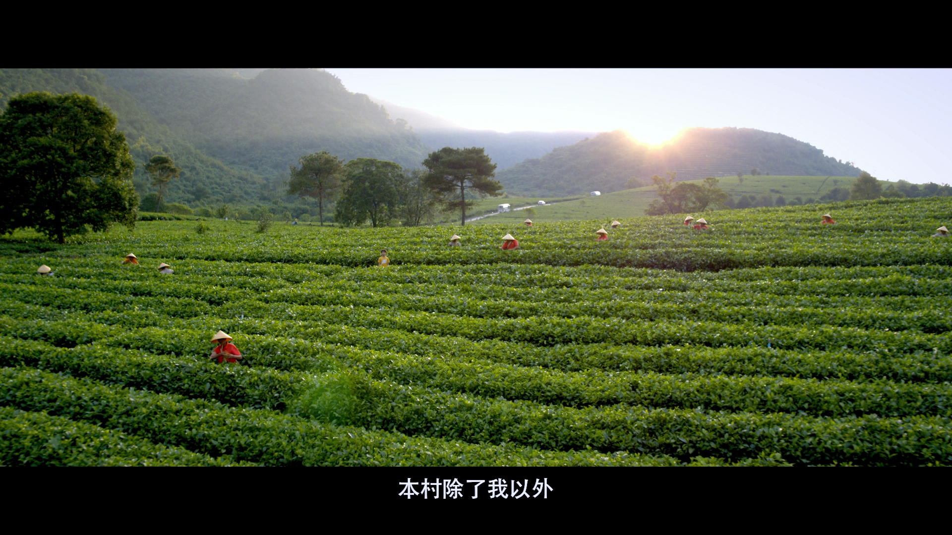 非常·主播剧照的剧照