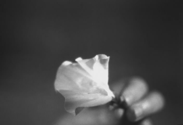 我们等待自由剧照的剧照