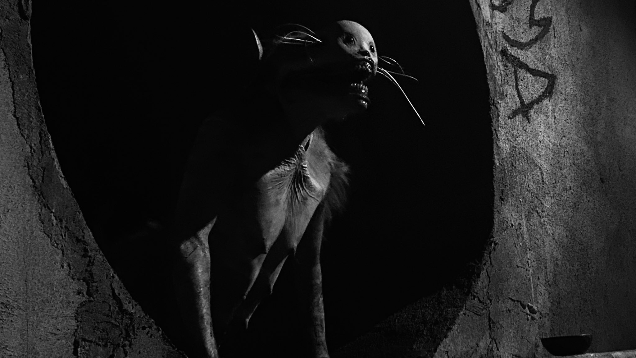 致命录像带94剧照的剧照