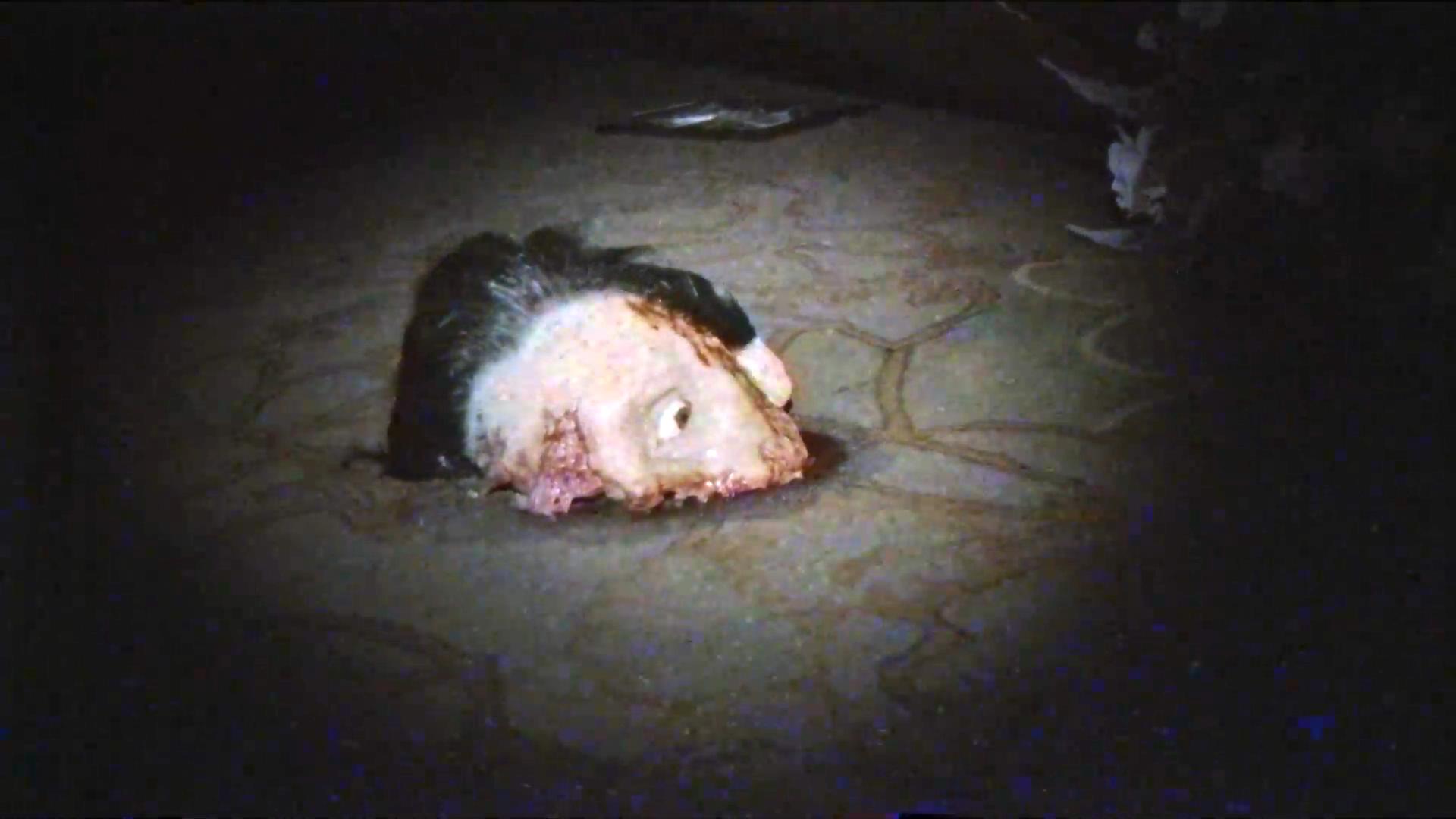 致命录像带94剧照的剧照