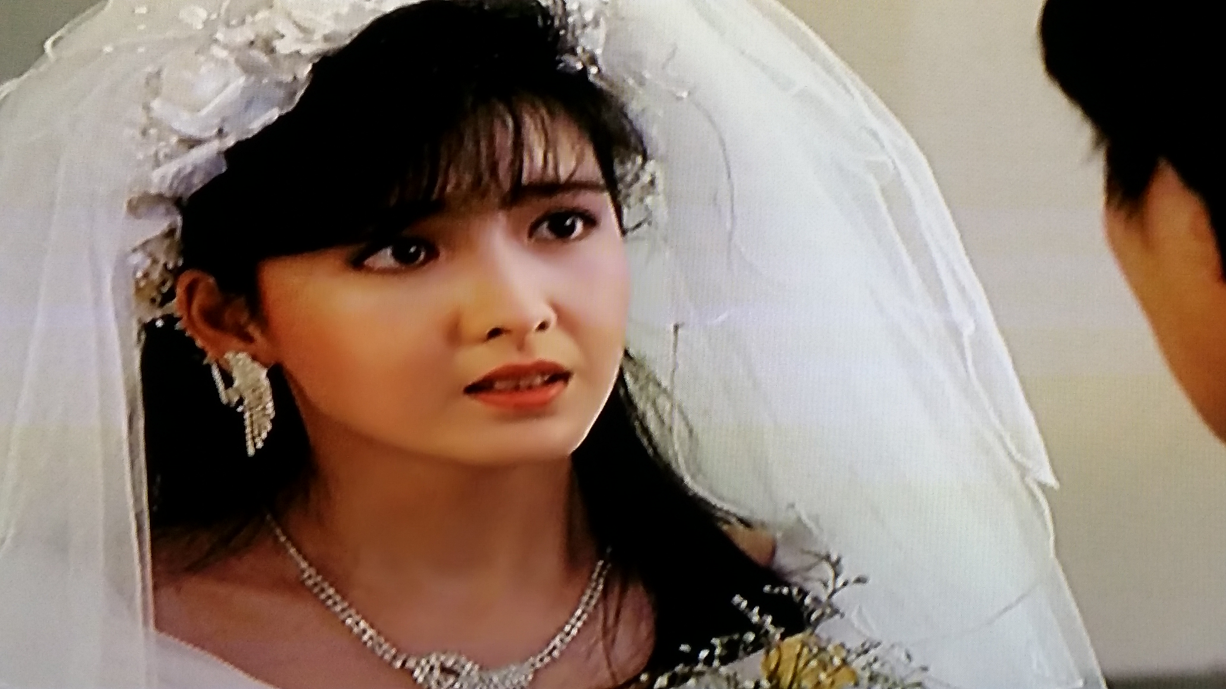 风雨同路剧照的剧照