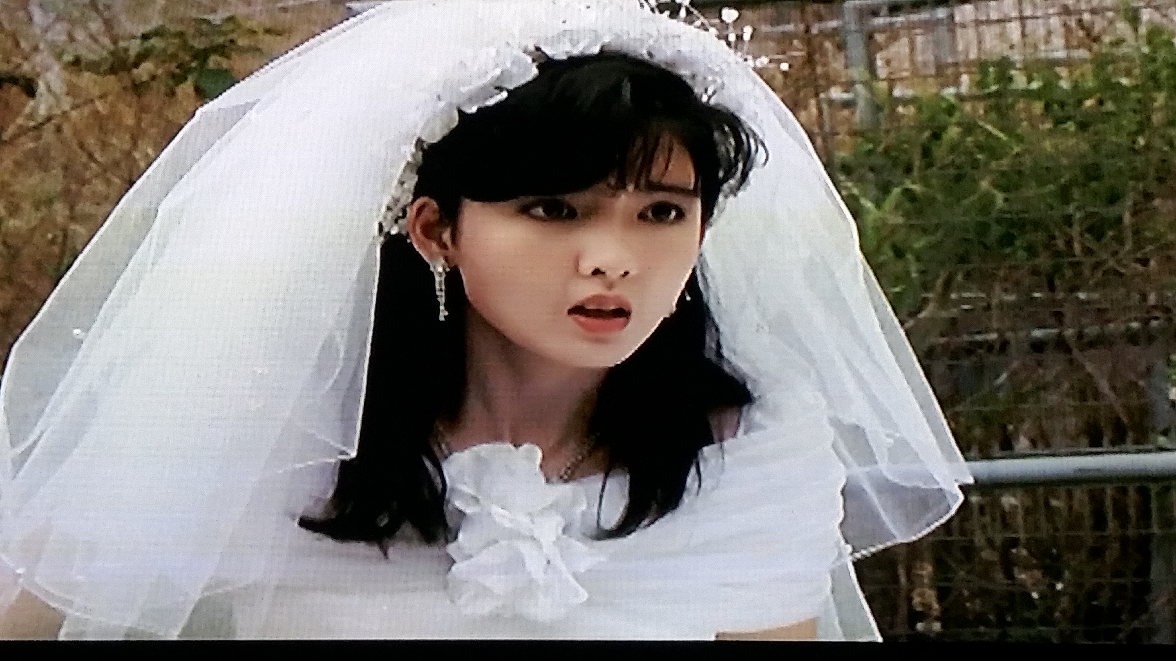 风雨同路剧照的剧照