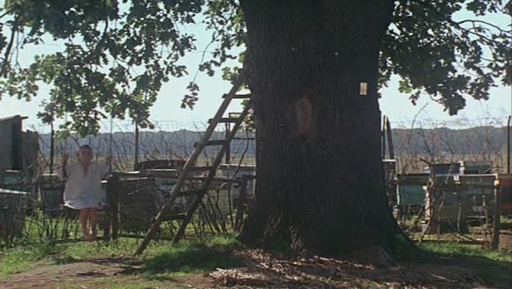 刑讯者的下午剧照的剧照