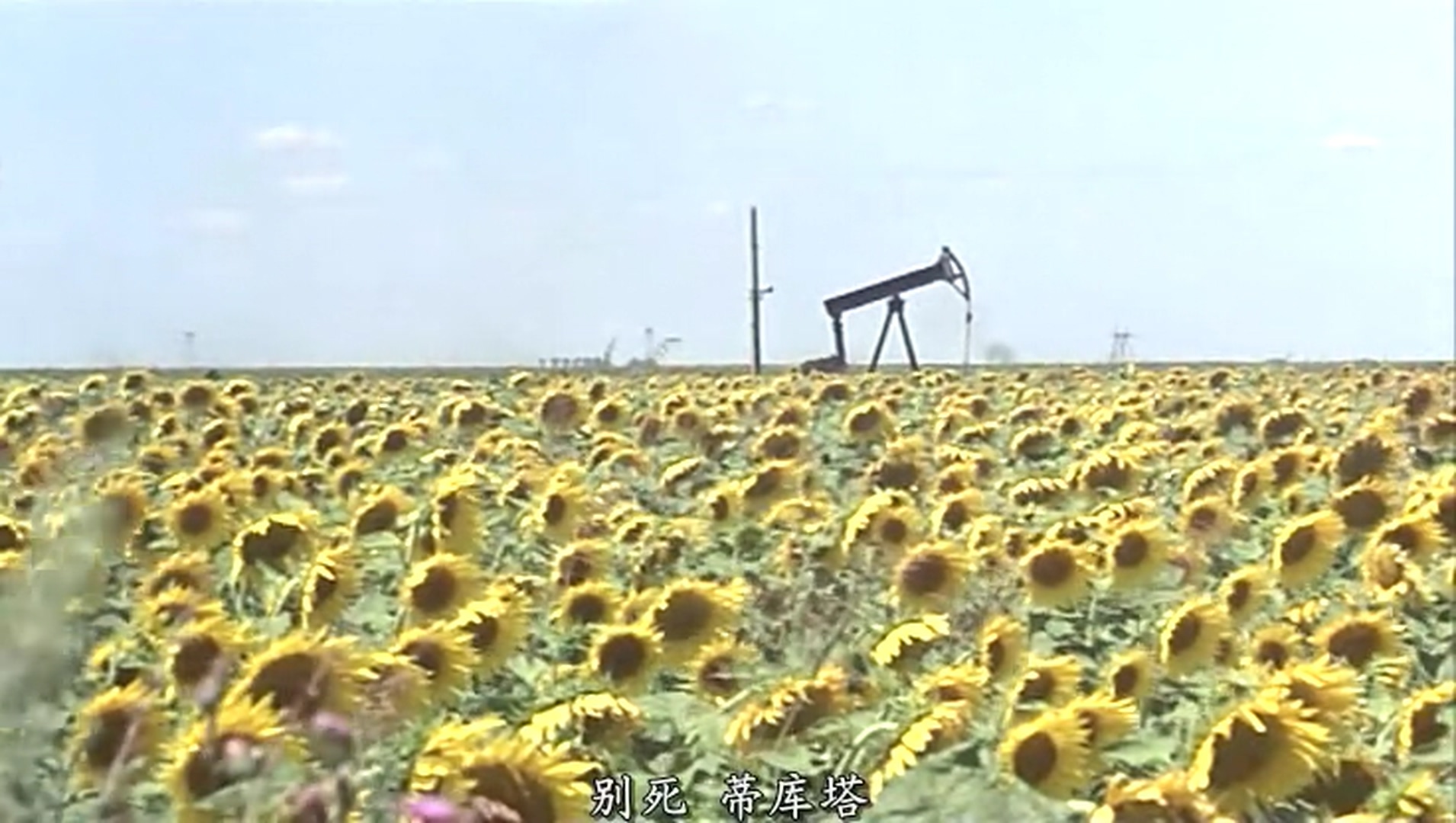 刑讯者的下午剧照的剧照