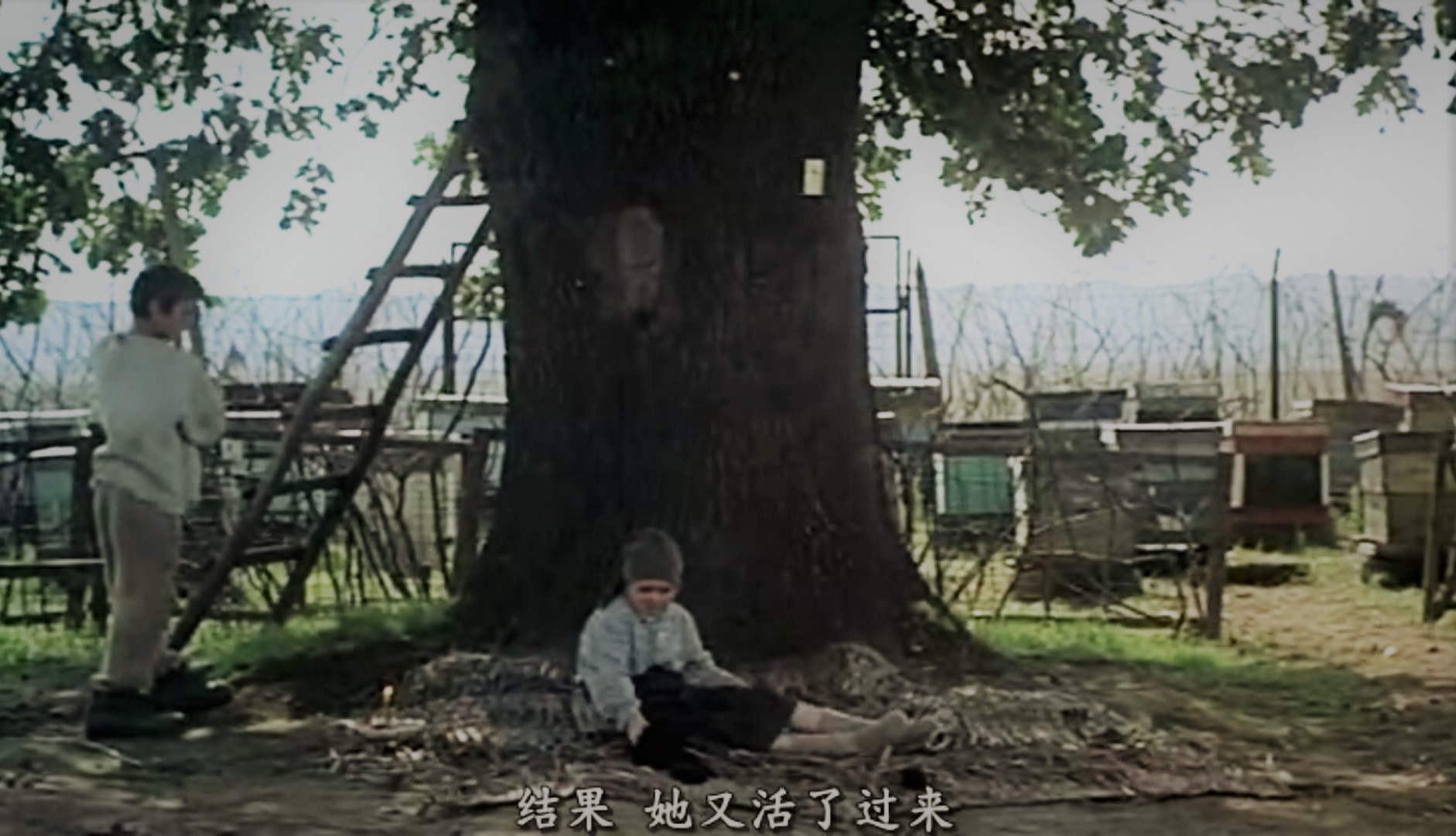 刑讯者的下午剧照的剧照