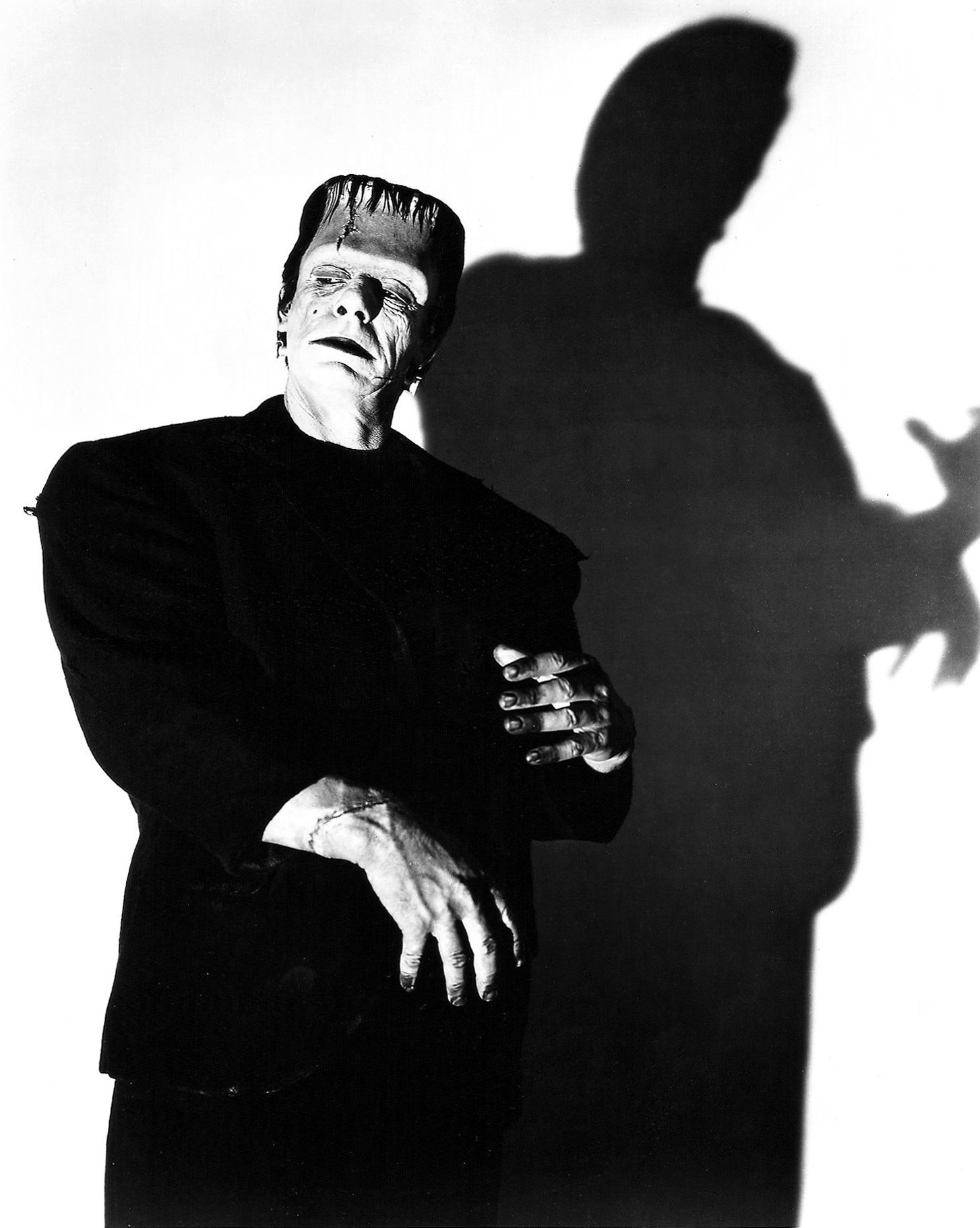 两傻大战科学怪人剧照的剧照