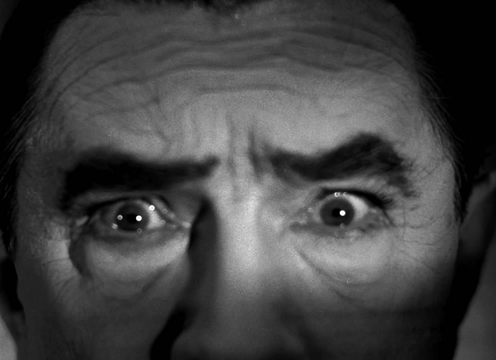 两傻大战科学怪人剧照的剧照